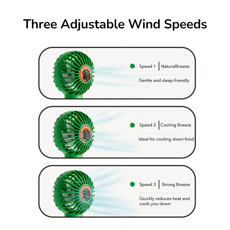 Handheld Fan