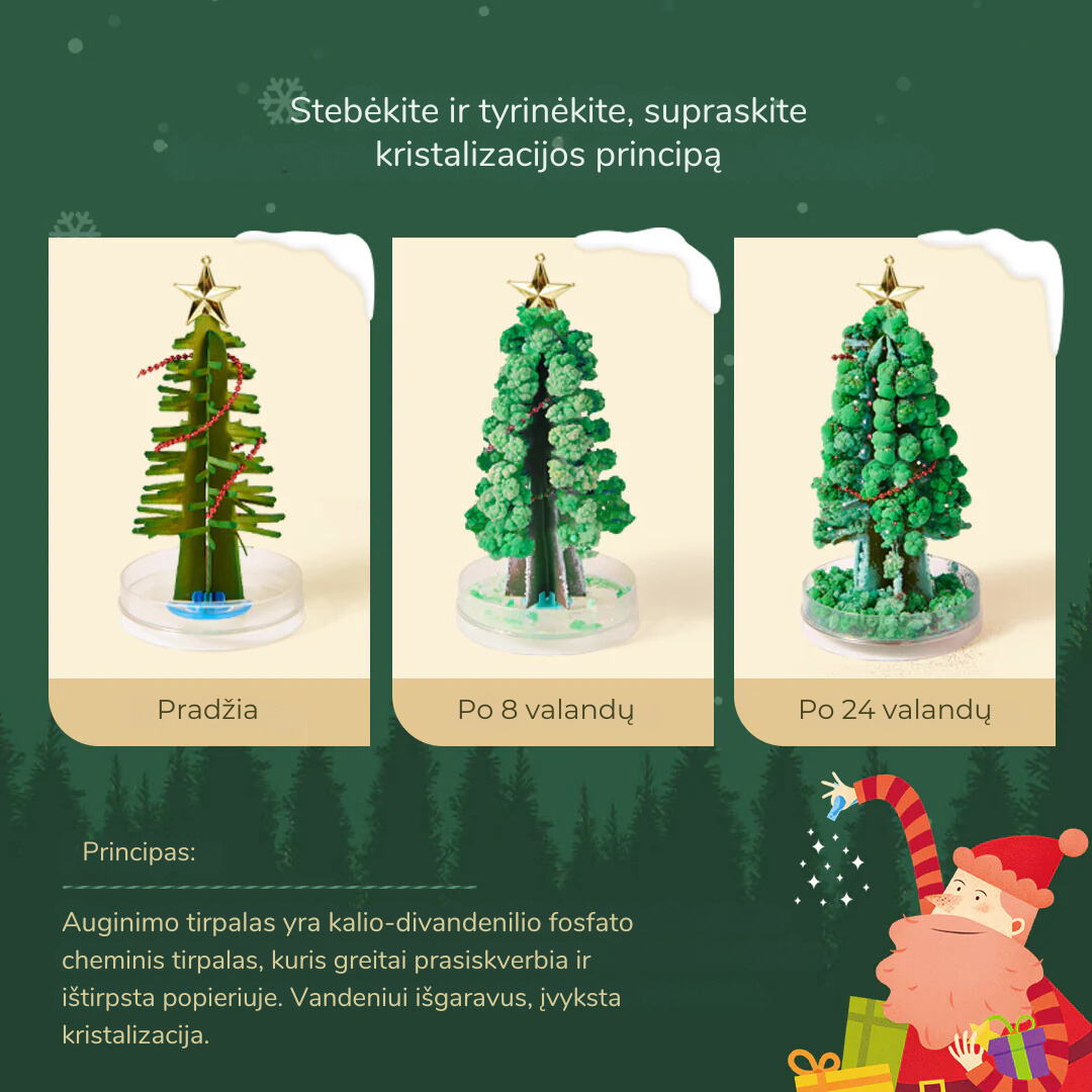 Taianomainen joulukuusi - kristallinkasvatussetti