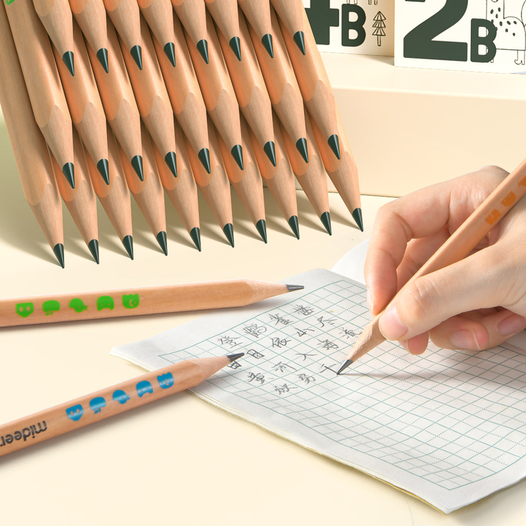 Thick Triangular 2B Pencils - 6 Pieces